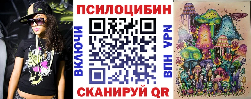 купить Цоци-Юрт blacksprut онион Галлюциногенные грибы Psilocybine cubensis